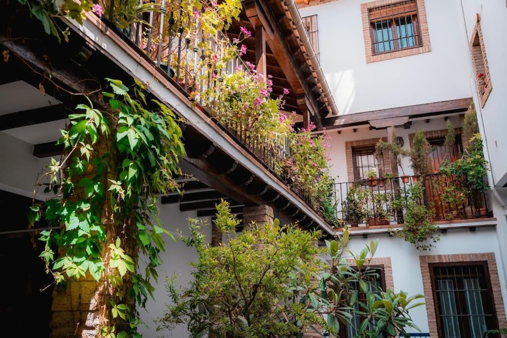 Qh Caldeleria Vieja Daire Granada Dış mekan fotoğraf