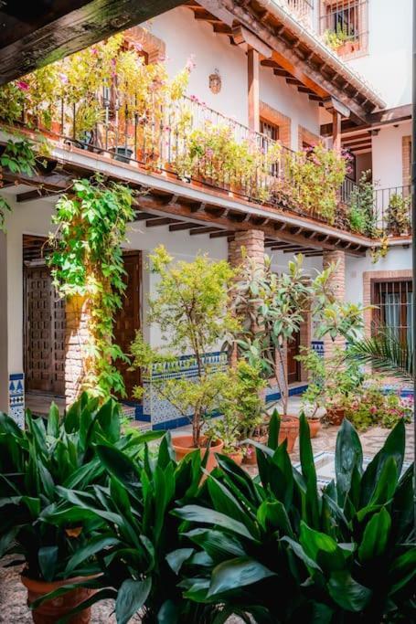 Qh Caldeleria Vieja Daire Granada Dış mekan fotoğraf